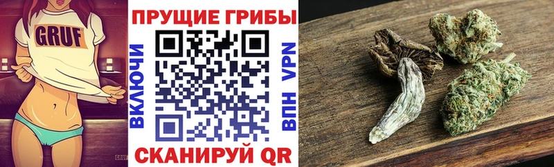 где найти наркотики  Бабушкин  Галлюциногенные грибы мухоморы 